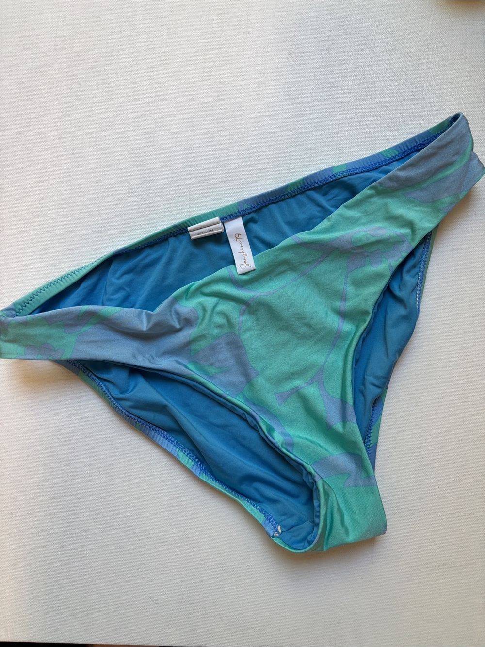 Sunshine 79 Blue & Teal Printed Bikini Bottom